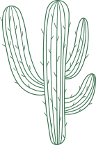 Cactus icon