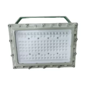 Explosion Proof Led Flood Light 30W 50W 75W 100W img1